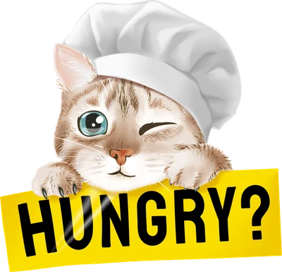 Hình ảnh mèo đội mũ đầu bếp, nháy mắt và cầm bảng chữ "HUNGRY?"