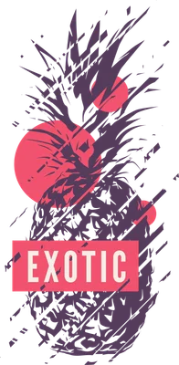 Hình ảnh dứa với chữ "EXOTIC" và các nét vẽ trừu tượng màu tím, hồng trên nền xám.