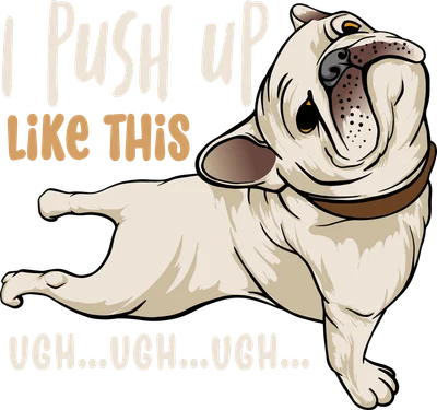 Chú chó Bulldog hài hước tập chống đẩy kiểu lười biếng