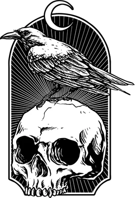 Hình minh họa quạ đen đậu trên đầu lâu với mặt trăng khuyết theo phong cách line art gothic