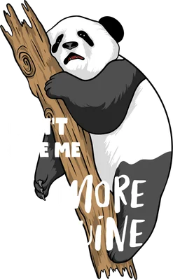 Hình vẽ chú gấu trúc hoạt hình say xỉn ôm thân cây, với dòng chữ 'DON'T GIVE ME MORE WINE' màu trắng trên nền xám.