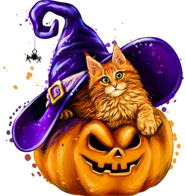 Hình ảnh mèo cam dễ thương đội mũ phù thủy màu tím, ngồi trên quả bí ngô Halloween có khuôn mặt cười ma quái.