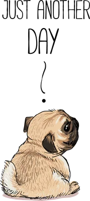 Pug dễ thương với dòng chữ 'Just Another Day' đầy suy tư