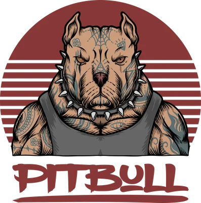 Hình minh họa chó Pitbull xăm trổ đeo vòng cổ gai, mặc áo ba lỗ, nền mặt trời đỏ, chữ PITBULL