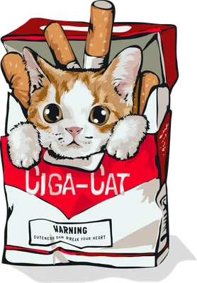 Hình minh họa mèo con màu cam trắng với đôi mắt to tròn, nằm trong hộp thuốc lá có chữ "Ciga-Cat" và cảnh báo "Cuteness Can Break Your Heart"