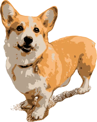 Chú chó Corgi đáng yêu với nụ cười tươi tắn phong cách hoạt hình