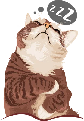 Chú mèo mướp màu nâu trắng đang ngủ say với bong bóng chữ ZZZ trên đầu