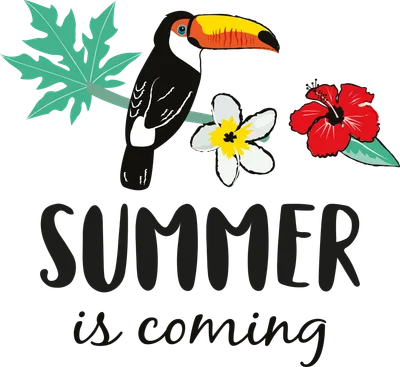 Hình ảnh minh họa chim Toucan, hoa dâm bụt, hoa trắng và lá cây nhiệt đới với dòng chữ 'SUMMER is coming'