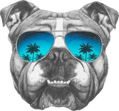 Hình vẽ chó Bulldog đeo kính râm aviator, phản chiếu bầu trời xanh và cây dừa
