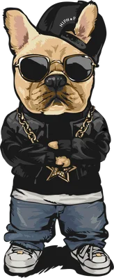 Hình minh họa chó Bull Pháp mặc đồ hip-hop, đội mũ ngược, đeo kính râm và dây chuyền vàng, đứng khoanh tay trên nền xám.
