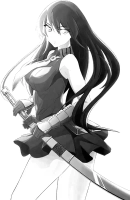 Hình ảnh minh họa anime một nữ chiến binh tóc dài, mặc trang phục chiến đấu, tay cầm hai thanh kiếm.