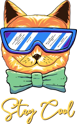 Hình ảnh minh họa một chú mèo đeo kính râm màu xanh và nơ màu xanh lá, kèm dòng chữ "Stay Cool"