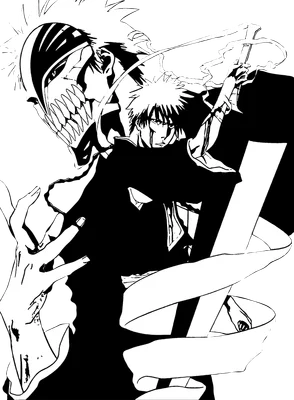 Hình ảnh minh họa Ichigo Hollow và Ichigo Kurosaki trong Bleach, cả hai đều cầm kiếm.