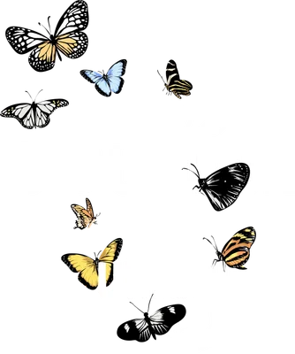Hình minh họa nhiều con bướm đa sắc, họa tiết khác nhau, cùng dòng chữ 'we're BEAUTIFUL & UNIQUE trust me!' trên nền xám.
