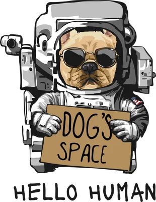 Hình ảnh minh họa một chú chó bull đeo kính râm và đội mũ phi hành gia, cầm một tấm bảng ghi "Dog's Space" và dòng chữ "HELLO HUMAN" bên dưới.