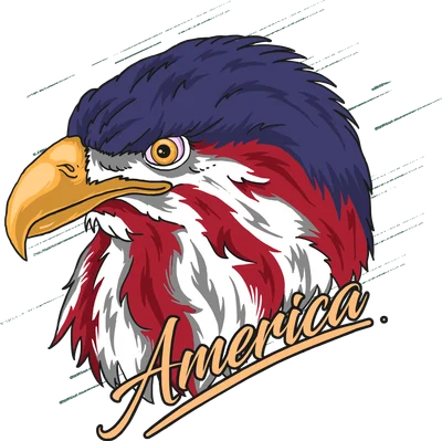 Hình ảnh đầu đại bàng với bộ lông màu cờ Mỹ, chữ 'America' bên dưới.