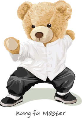 Hình minh họa gấu bông màu nâu mặc võ phục Kung Fu trắng đen, đang đứng trong tư thế võ thuật trên nền xám. Có chữ 'kung fu Master' ở dưới.