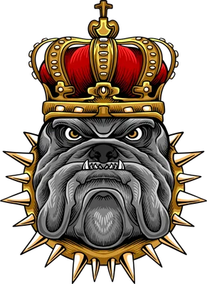 Hình minh họa đầu chó Bulldog hung dữ đội vương miện vàng và đeo vòng cổ đinh tán