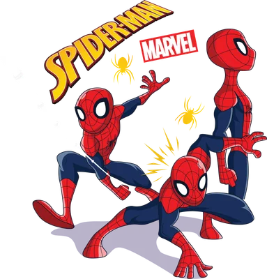 Ba phiên bản hoạt hình của Người Nhện trong các tư thế hành động khác nhau, với logo Marvel và Spider-Man.