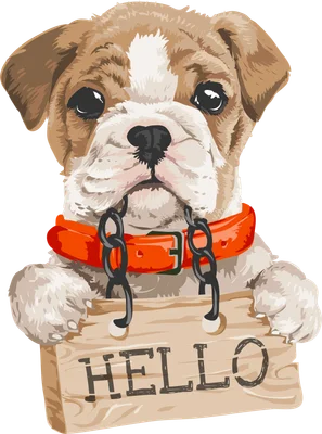 Chó Bulldog con dễ thương cầm bảng "HELLO"