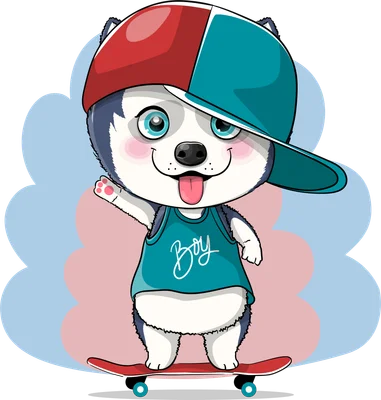 Hình vẽ chú chó Husky đội mũ lưỡi trai, mặc áo ba lỗ có chữ 'Boy', đang đứng trên ván trượt và lè lưỡi.
