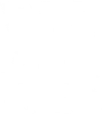 Chữ "Wild and Free" phong cách vẽ tay độc đáo