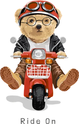 Hình minh họa gấu bông đội mũ bảo hiểm đỏ, kính, áo khoác da đen lái xe scooter màu đỏ, một mắt nháy, có chữ Ride On.