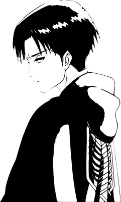 Hình vẽ nhân vật Levi Ackerman trong Attack on Titan, nhìn nghiêng với biểu cảm trầm tư.