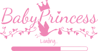 Hình ảnh 'Baby Princess Loading...' với chim đưa em bé và vương miện màu hồng trên nền xám.