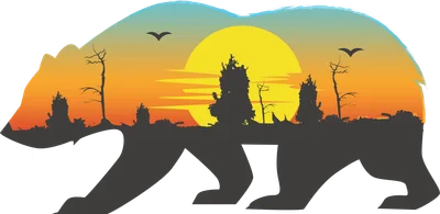 Hình ảnh gấu silhouette chứa cảnh hoàng hôn với mặt trời, cây cối và chim bay.