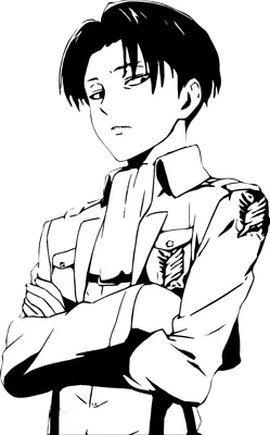 Hình vẽ Levi Ackerman, nhân vật anime, áo quân phục, khoanh tay, biểu cảm lạnh lùng.