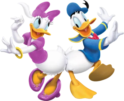 Hình ảnh hoạt hình của Vịt Donald mặc đồ xanh và Vịt Daisy mặc đồ tím đang vui vẻ nhảy múa trên nền xám.