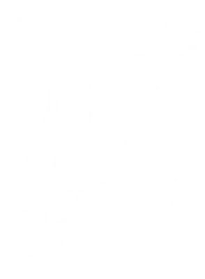 Dòng chữ trắng 'Peace Love and Coffee' viết tay theo phong cách thư pháp trên nền xám với các chấm trắng nhỏ.