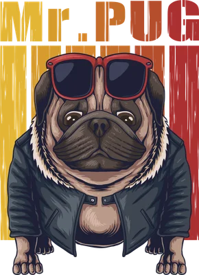 Hình ảnh minh họa chó Pug đeo kính râm đỏ, mặc áo khoác da, với nền sọc màu vàng, cam và đỏ.