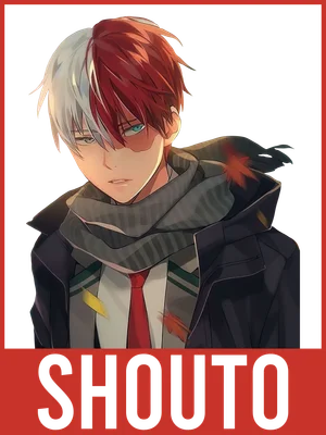 Hình vẽ nhân vật Shoto Todoroki từ anime My Hero Academia, tóc hai màu đỏ trắng, đeo khăn choàng, biểu cảm ngầu.
