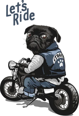 Hình minh họa chú chó Pug mặc áo khoác da đang lái xe mô tô với dòng chữ Let's Ride