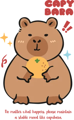 Hình vẽ capybara hoạt hình màu nâu dễ thương ôm quả cam vàng, nền xám, có chữ 'CAPYBARA' và câu nói truyền cảm hứng.