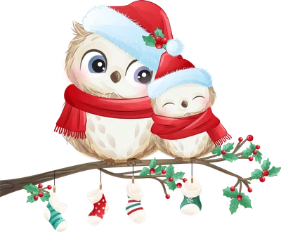 Hai chú cú con đội mũ ông già Noel, quàng khăn đỏ, ngồi trên cành cây với tất Giáng Sinh treo lủng lẳng.