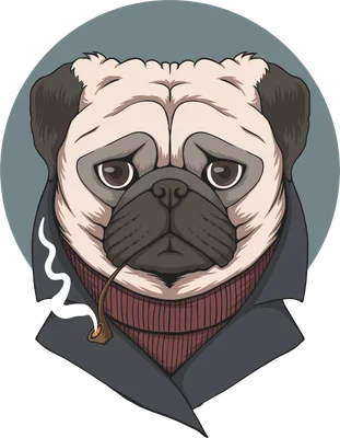 Hình minh họa chó Pug mặc áo khoác, áo len cổ lọ, ngậm tẩu thuốc, phong cách quý ông.
