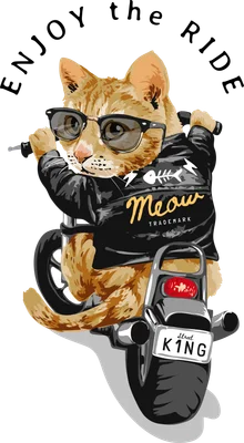 Hình vẽ mèo vàng đội kính râm, mặc áo da đen lái xe mô tô, có chữ "Enjoy the Ride" phía trên.