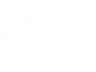 Dòng chữ "LET LIFE SURPRISE YOU" màu trắng trên nền xám, font chữ viết tay.