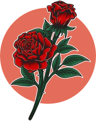 Hai bông hoa hồng đỏ rực rỡ với lá xanh và gai trên thân, trên nền tròn màu cam và xám.