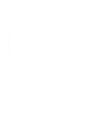 Hình ảnh chữ trắng 'STAY FOCUSED ON YOUR DREAMS' phong cách grunge trên nền xám.