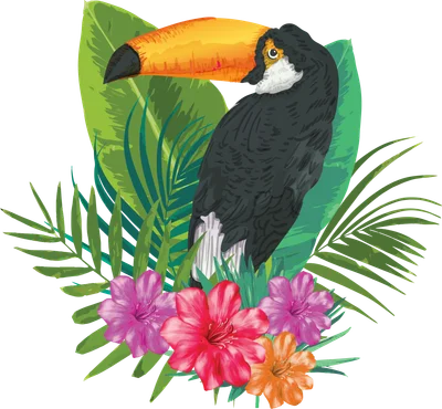 Chim Toucan nhiệt đới bên hoa rực rỡ