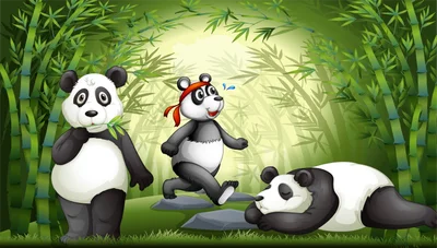 Ba chú gấu trúc trong rừng tre, một chú đang ăn lá, một chú đang chạy, một chú đang ngủ.