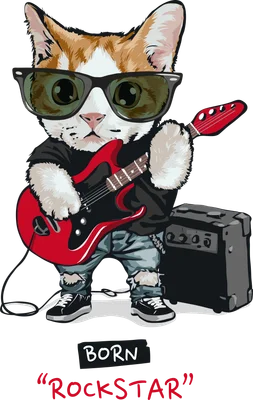 Hình vẽ chú mèo rockstar đeo kính râm, mặc quần jean rách, áo đen, đang chơi guitar điện màu đỏ, bên cạnh là amply. Dưới chân có chữ 'BORN ROCKSTAR'.