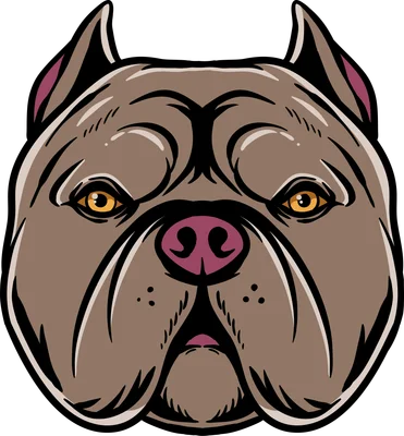 Đầu chó Pitbull mạnh mẽ phong cách hoạt hình vector
