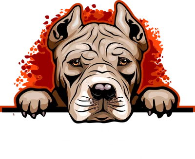 Hình ảnh minh họa chó Pitbull Terrier với vẻ ngoài mạnh mẽ, ánh mắt sắc sảo, có hiệu ứng màu đỏ cam phía sau.