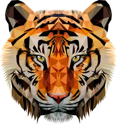 Hình ảnh mặt hổ với phong cách low poly, sử dụng các khối đa giác màu cam, đen và trắng.