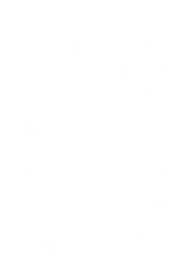 Thiết kế chữ "Trick or Treat" màu trắng trên nền xám, có hình mèo đen, dơi và mạng nhện.